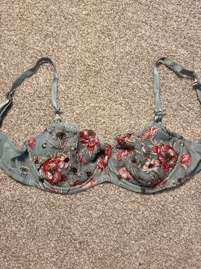 Victoria's Secret Floral Embroidered Underwire Bra in Dusty Blue and Red